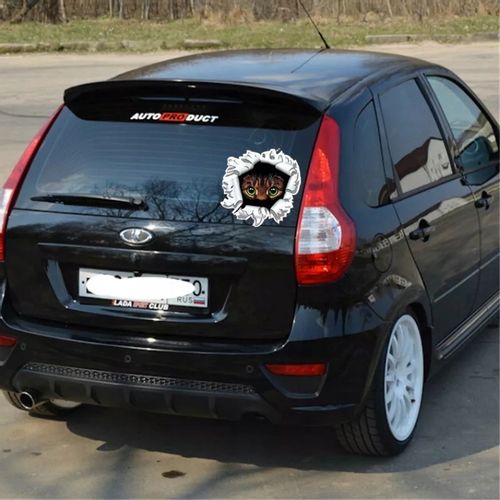 Wlepa Kocie Oczy Koteczek Słodziaczek Kicia Dziura na Arena.pl