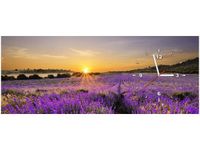 100X40CM ZEGAR POLE LAWENDY OBRAZ