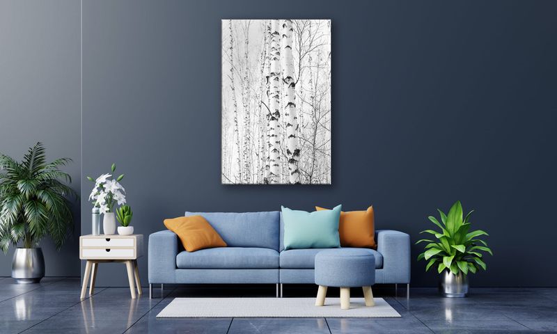 OBRAZ NA PŁÓTNIE 011 Brzozy 40x60cm zdjęcie 4