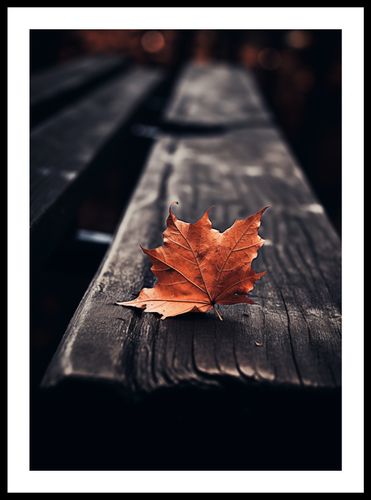 Plakat 42x59,4cm Pojedynczy Liść na Arena.pl