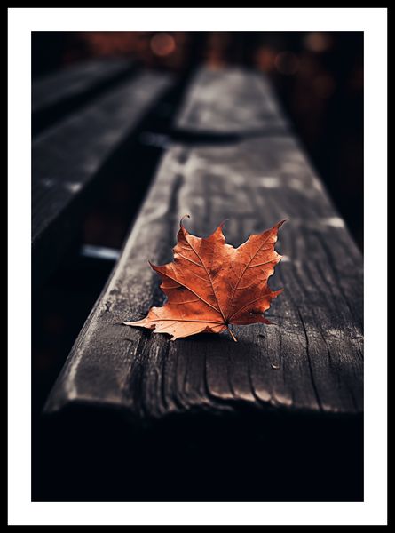 Plakat 42x59,4cm Pojedynczy Liść zdjęcie 3
