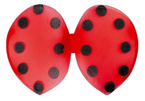 Zestaw Biedronka - 2 elem. na Arena.pl