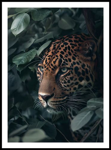 Plakat 50x70cm Schowany w Cieniu na Arena.pl