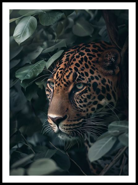 Plakat 50x70cm Schowany w Cieniu zdjęcie 3