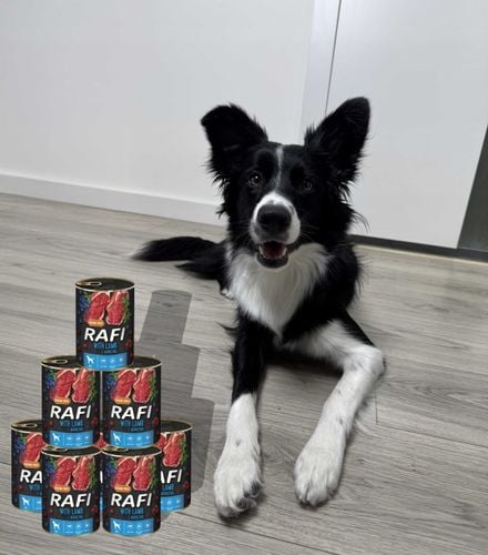 karma mokra dla psów rafi z jagnięciną, borówką i żurawiną 400g - 48 szt. na Arena.pl