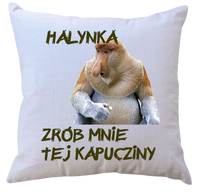 Poduszka dla Janusza
