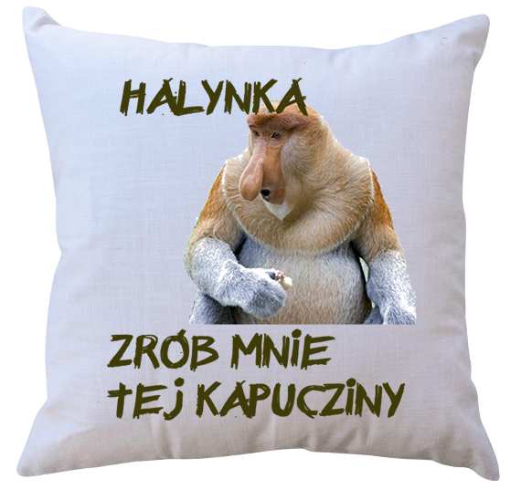 Poduszka dla Janusza zdjęcie 1