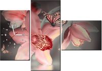 100CM 70CM ZEGAR 3 ELEM MOTYLEK STORCZYKU ŚCIENNY OBRAZ