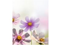 40X50CM DELIKATNE KWIATY OBRAZ