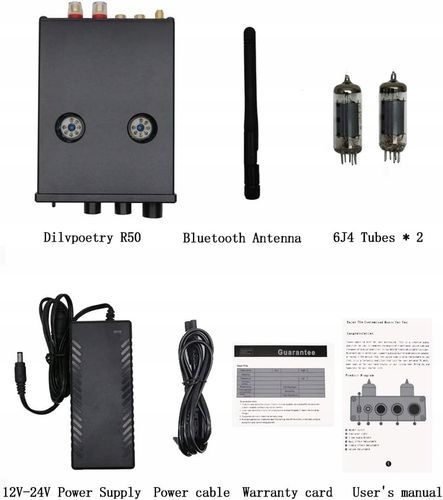 Lampowy wzmacniacz słuchawkowy Dilvpoetry R50 HiFi Bluetooth Audio Cyfrowy na Arena.pl