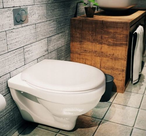 DESKA SEDESOWA KLOZETOWA WOLNOOPADAJĄCA UNIWERSALNA DUROPLAST WC CS na Arena.pl