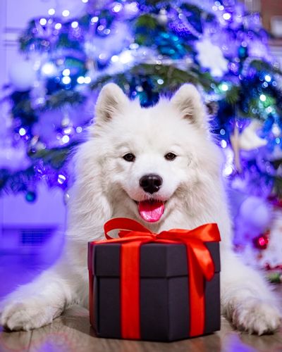 PUDEŁKO NIESPODZIANKA - EXPLODING BOX DO SAMODZIELNEGO ZŁOŻENIA na Arena.pl