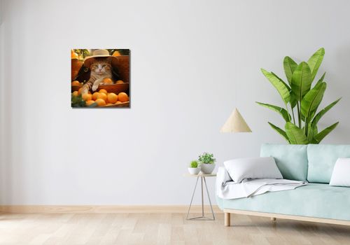 Obraz 50x50cm Letni Odpoczynek na Arena.pl