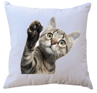 Poduszka Koty