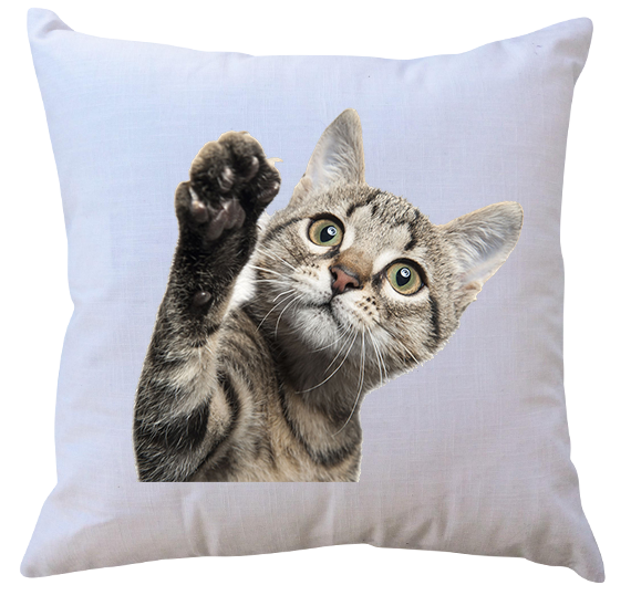 Poduszka Koty zdjęcie 1