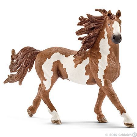 SCHLEICH Ogier rasy Pinto 13794 na Arena.pl