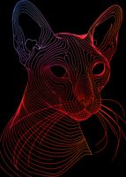 Plakat 25x35cm Cyfrowa Kocica