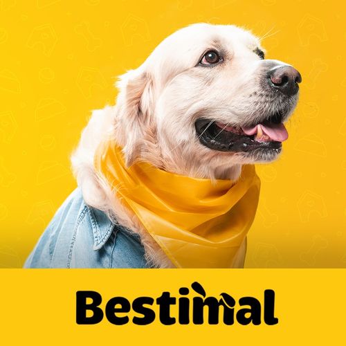 Miękki filet z piersi kaczki 500g x2 MIĘKKIE PRZYSMAKI DLA PSA BEZZBOŻOWE na Arena.pl