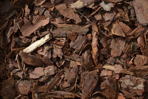 Kora sosnowa sortowana ŚREDNIA 80 l, przesiewana na Arena.pl