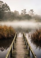 product-compare-59357165