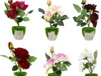 kwiat róża w doniczce 0403D