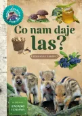 Co nam daje las