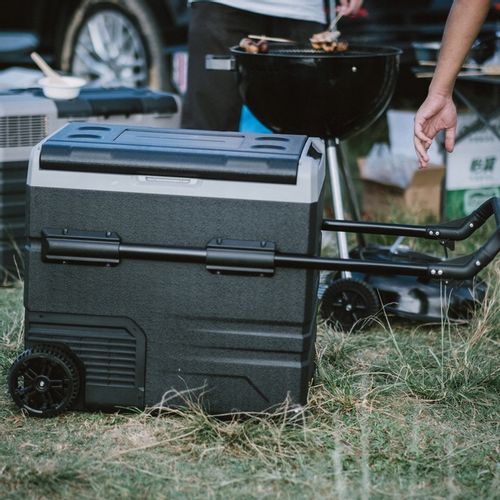LODÓWKA KOMPRESOROWA TURYSTYCZNA NA PIKNIK RYBY METEOR TSW50 bluetooth 50l na Arena.pl