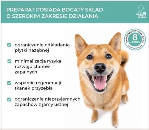 VET PROTECTOR JAMA USTNA - ZĘBY FRESH 100 ml na Arena.pl