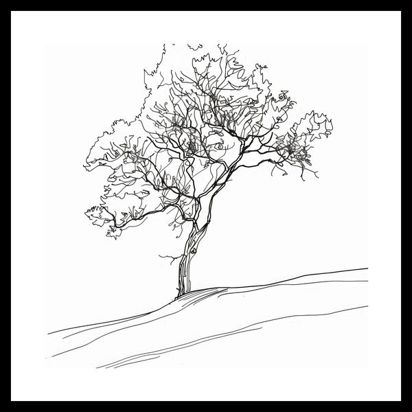 Plakat 30x30cm Drzewo w Zarysie zdjęcie 3