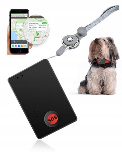 MINI LOKALIZATOR GPS TRACKER SINOTRACK ST904 PODSŁUCH SOS 15DNI 1200mah APP na Arena.pl