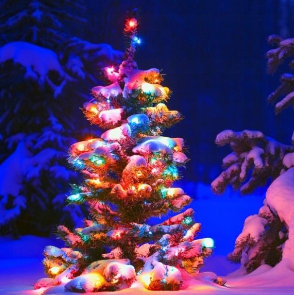 Lampki choinkowe łańcuch świetlny LED 10M 100LED RGB Aplikacja pilot zdjęcie 3