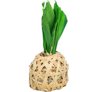 TRIXIE Ananas z bambusa kukurydzy trawy EKO zabawka królika gryzoni 14×6cm