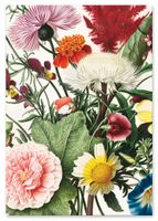 Plakat kwiaty polne dekoracje na ścianę 61x91 cm