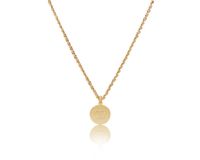 naszyjnik z plasterkiem z kółeczkami (c23/jes/02au)