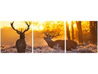 90 80CM OBRAZ T3 ELEM JELENIE DRUK ŚCIENNY