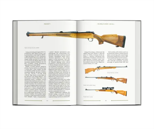 Broń Palna na Arena.pl