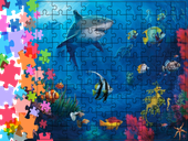 Puzzle tradycyjne Zwierzęta - Rekin