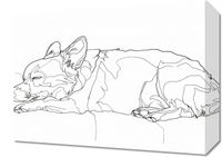 Obraz 40x30cm Śpiący Psiak