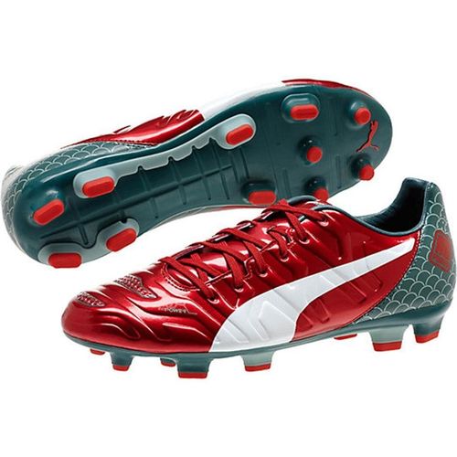 Buty Puma EvoPOWER 10342901 44 na Arena.pl
