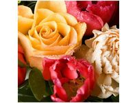 50X50CM KWIATY OBRAZ