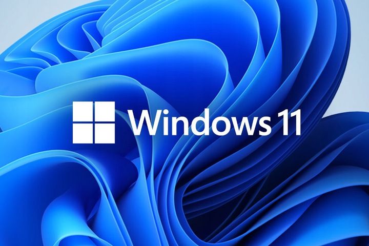 Program MICROSOFT Windows 11 Home Box zdjęcie 2