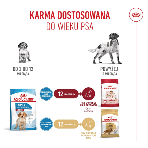 royal canin medium puppy 4kg na Arena.pl