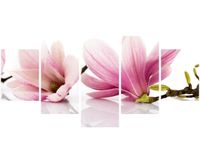 product-compare-58700857