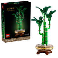 LEGO Botanical Collection Dracena sandera w doniczce 10344