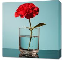 Obraz 60x60cm Kwiat w Szkle
