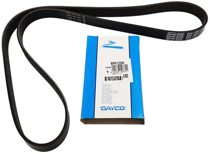 PASEK WIELOROWKOWY zdjęcie 3