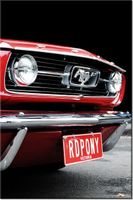 80CM 120 OBRAZ RED MUSTANG Y ŚCIENNY