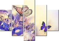 product-compare-58695870