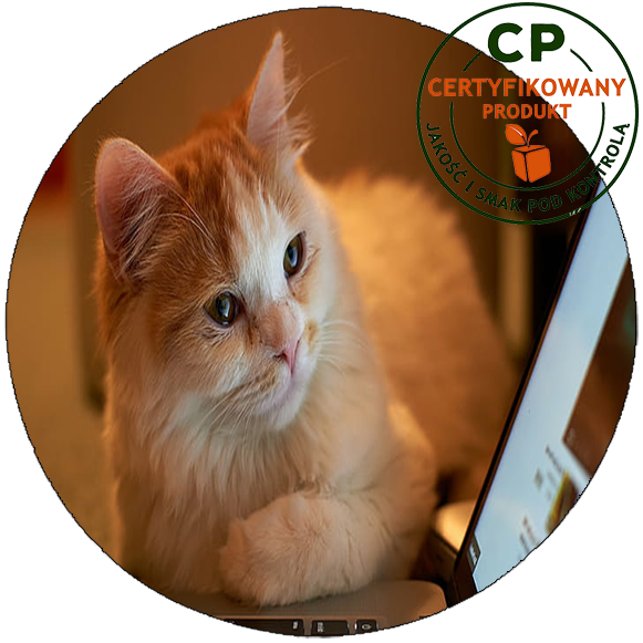 Opłatek na tort Koty zdjęcie 1