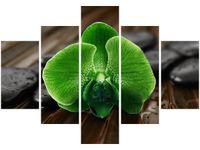 70 100CM OBRAZ 5 ELEM LIMONKOWY STORCZYK DRUK PŁÓTNO